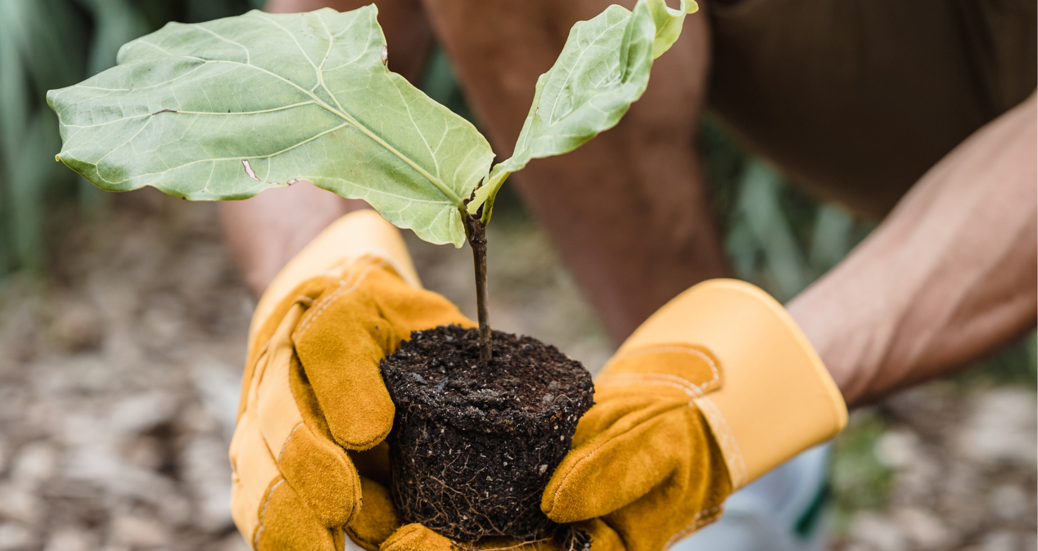 Sustainability Reports